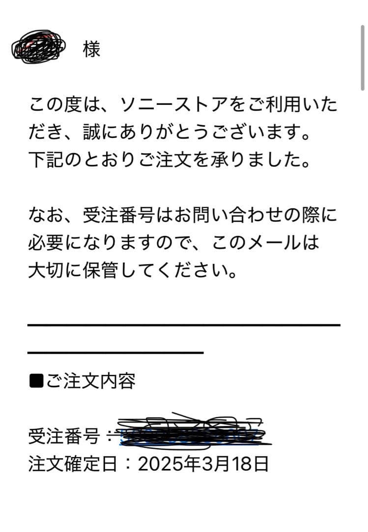 SONYウォークマン　NW-A306 と別売り専用シリコンケース