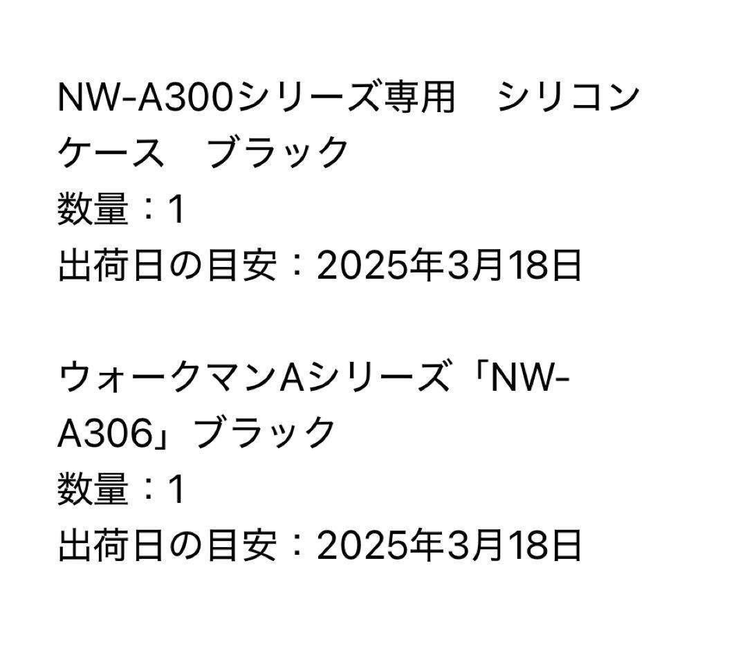 SONYウォークマン　NW-A306 と別売り専用シリコンケース