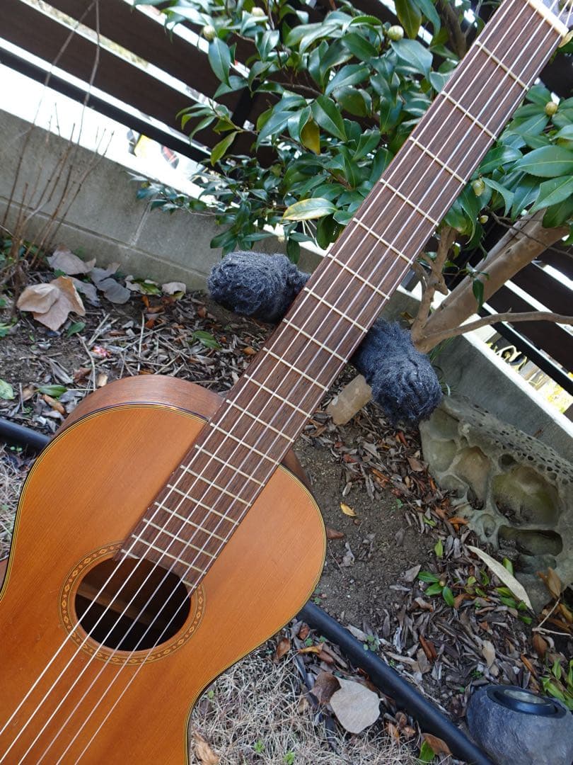 スピッツ「ハチミツ」ジャケットのギター 超レア！