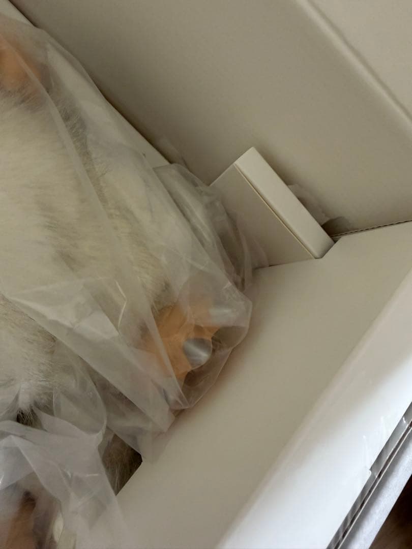 新品⭐︎LABUBU ZIMOMO 天使　ANGEL ラブブ　ジモモ　本日最終