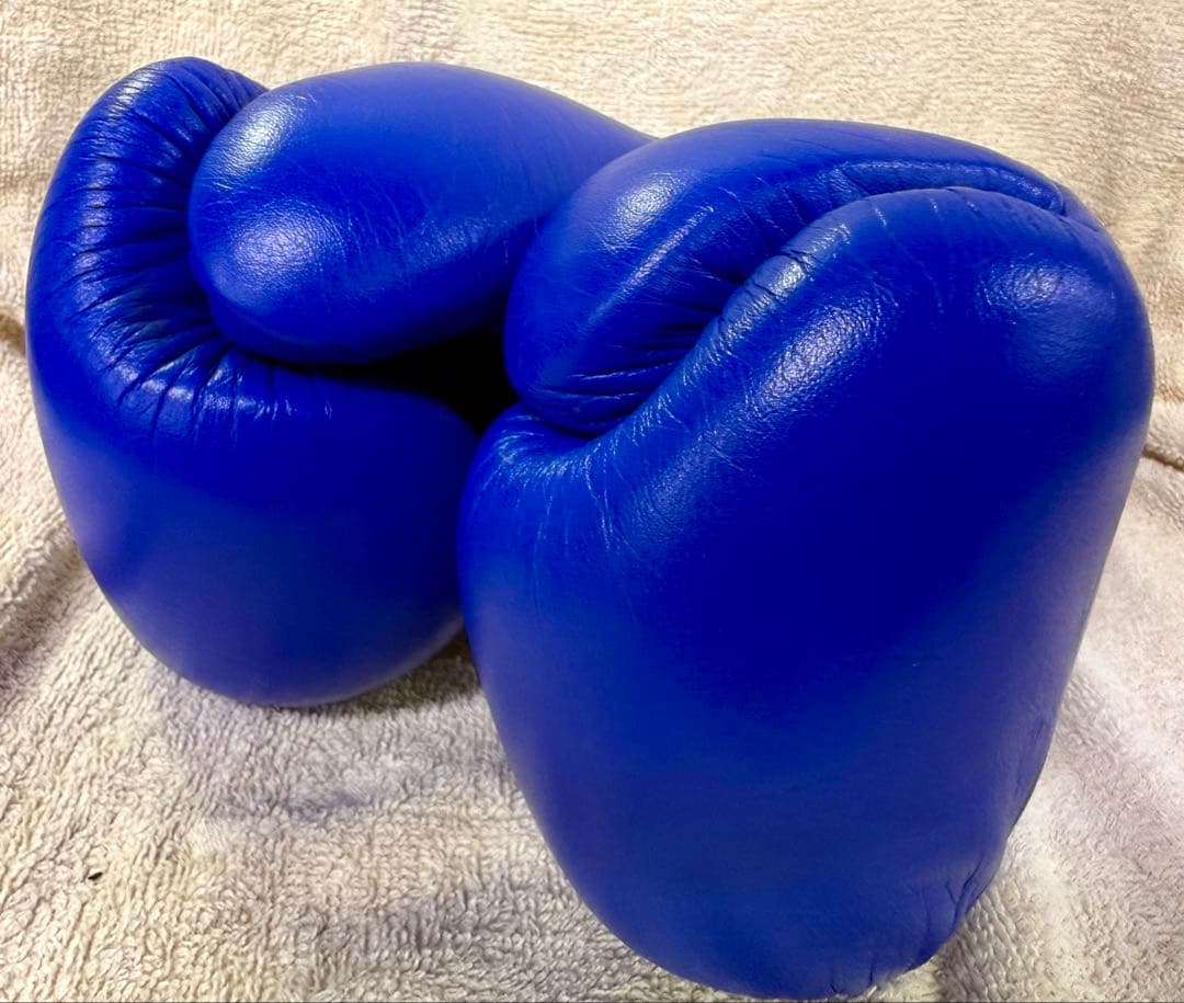 Winning ボクシンググローブ　8オンス