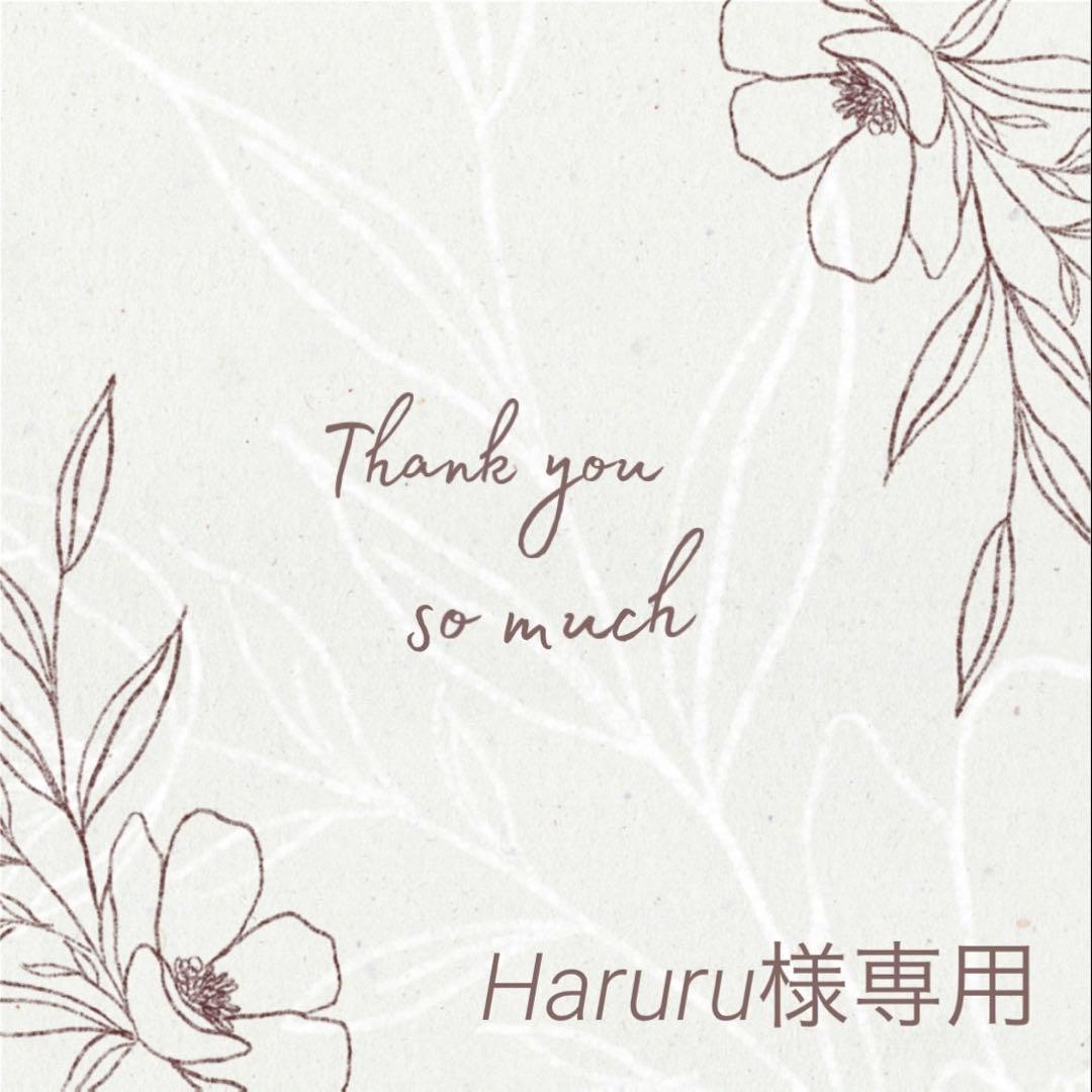 Haruru様 リクエスト 3点 まとめ商品