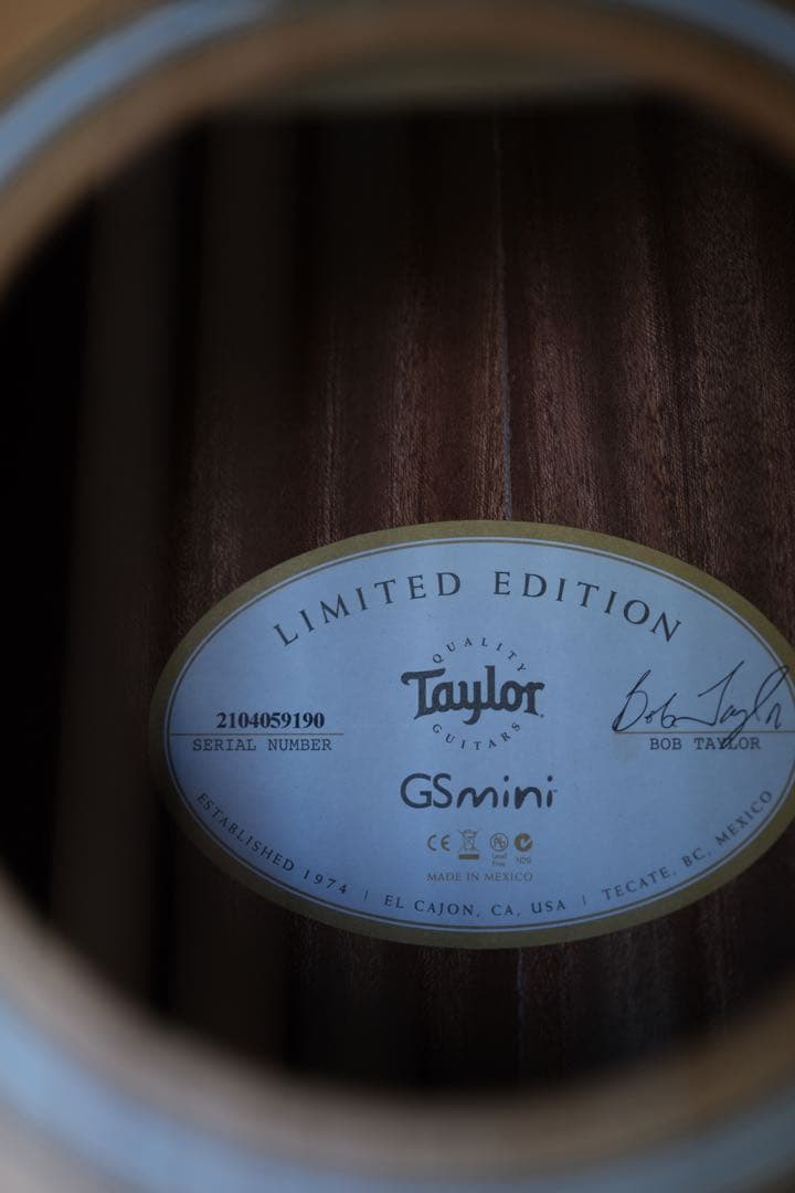 Taylor LTD GS Mini 限定モデル