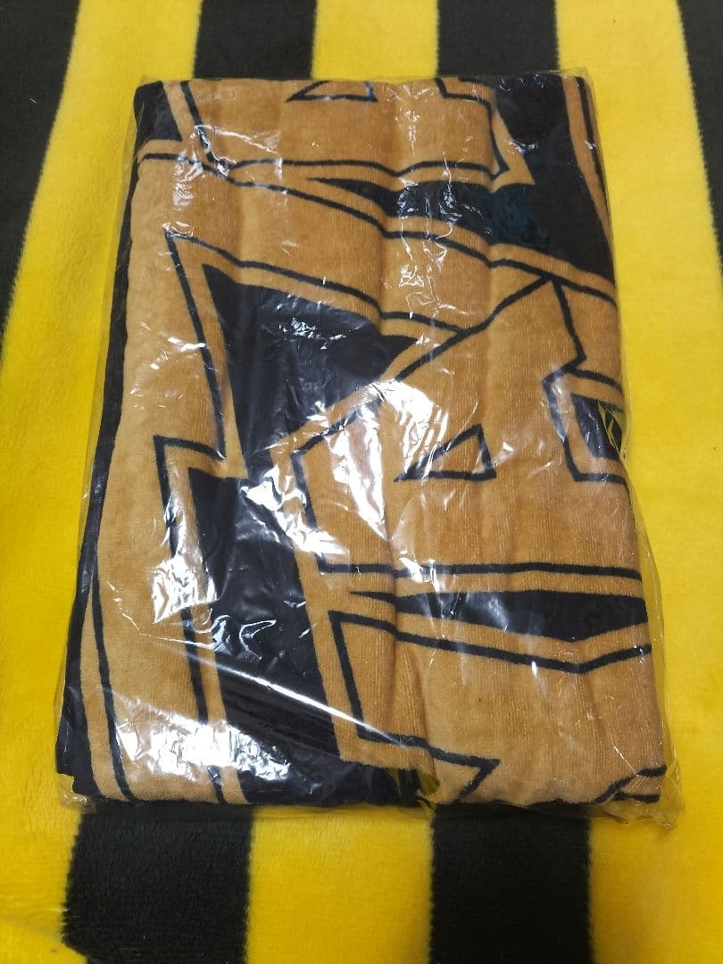 矢沢永吉 SBT ロゴDM LIVEシルエット