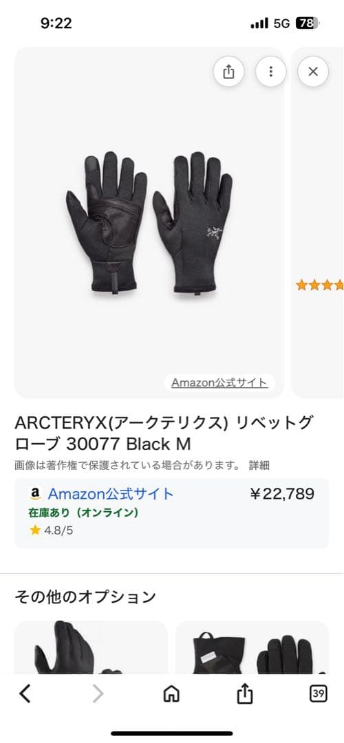 ARC'TERYX リベットグローブ 30077 ブラック M