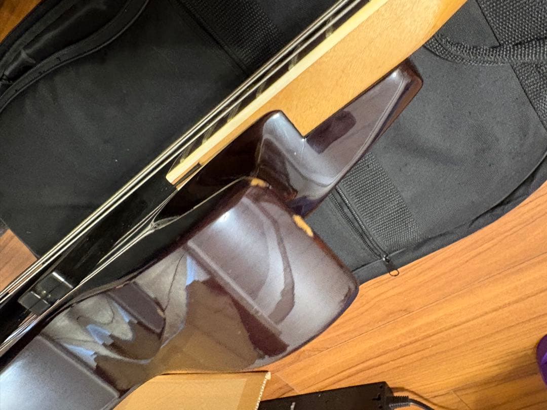 ぬ*こ様 【現状品】esp Egoist MA-250BE 【ジャンク】