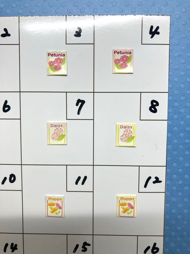 シルバニア　種袋