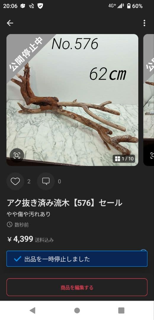 ！専用！アク抜き済み流木【645】セール