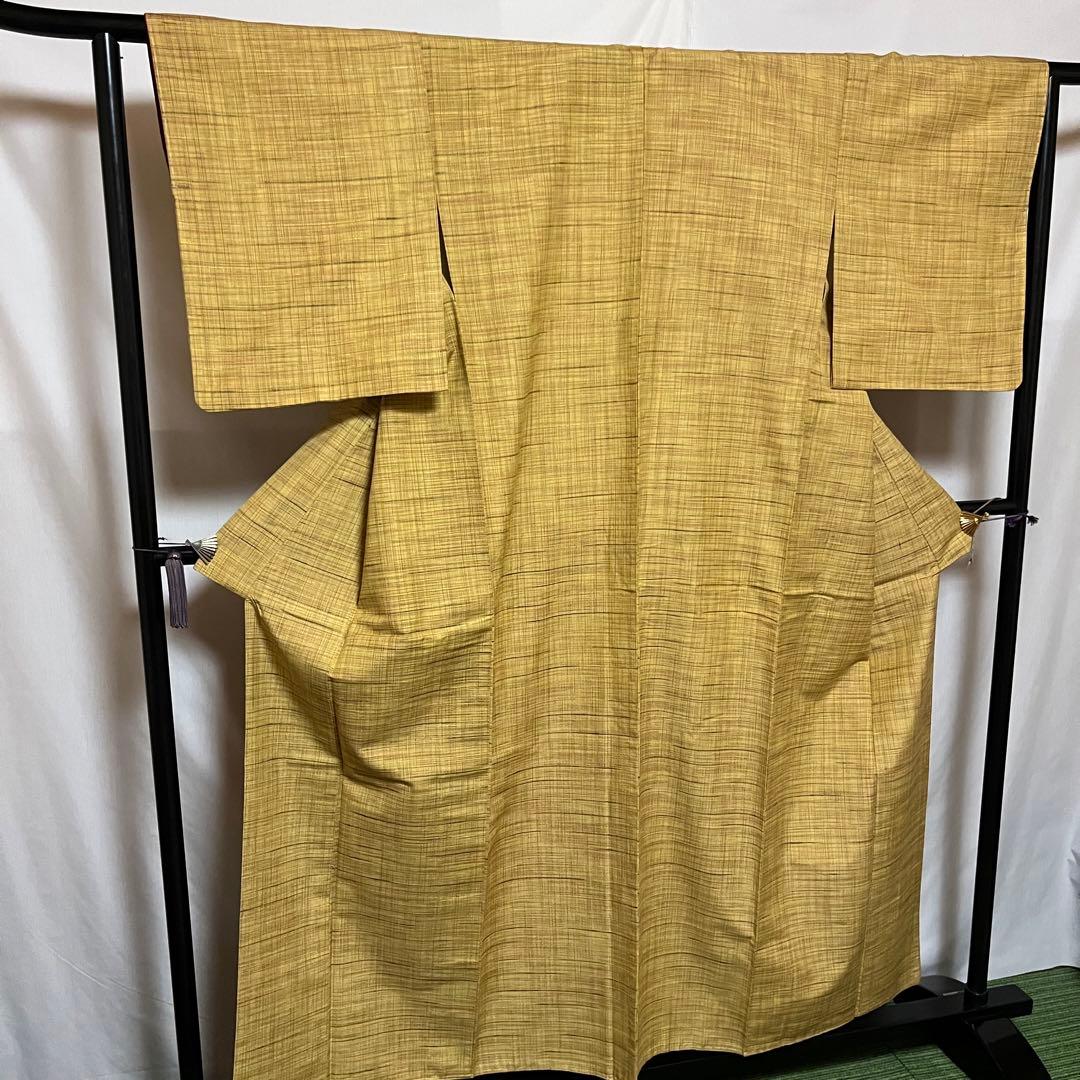 ☘️早い者勝ち☘️【国宝品】●岐阜県無形文化財【郡上紬】●幻の紬●草木染●紬●着物