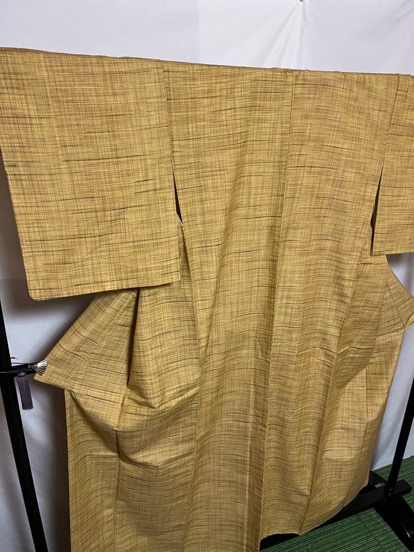 ☘️早い者勝ち☘️【国宝品】●岐阜県無形文化財【郡上紬】●幻の紬●草木染●紬●着物