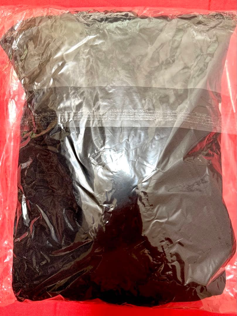 新品KEN YOKOYAMA横山 健『KENTERA』パーカー ハイスタンダード