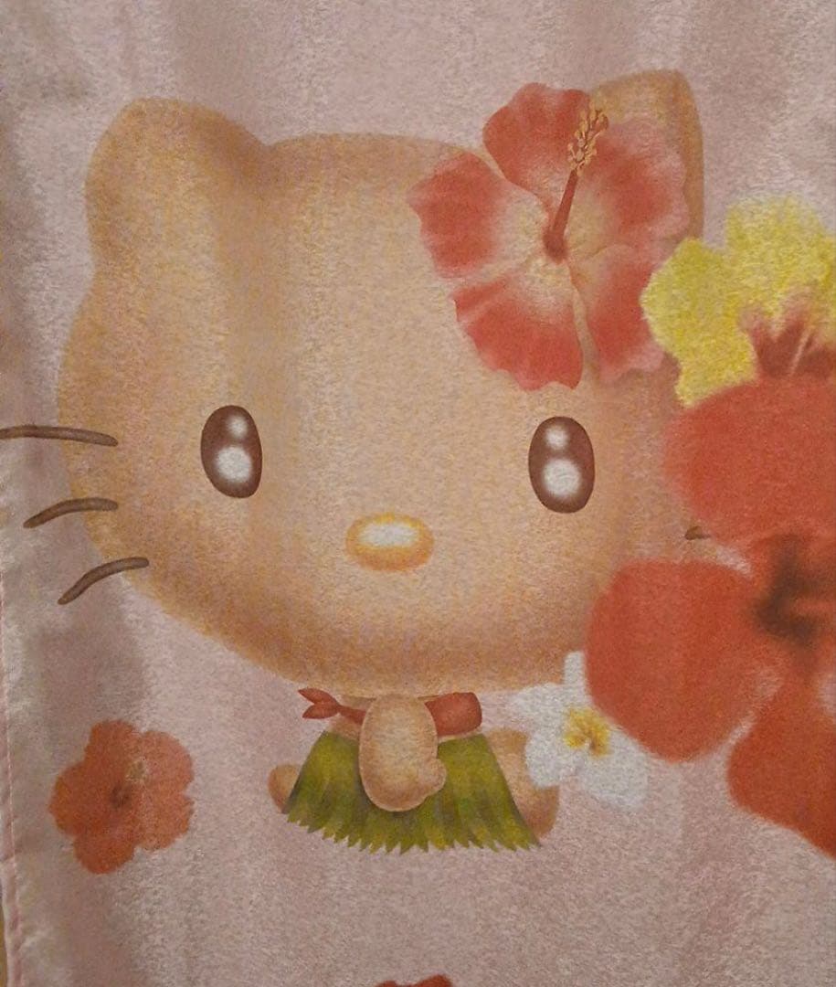 お値下げ中！日焼けキティ♡のれん 激レア！新品未使用未開封 大人気日焼けキティ♡