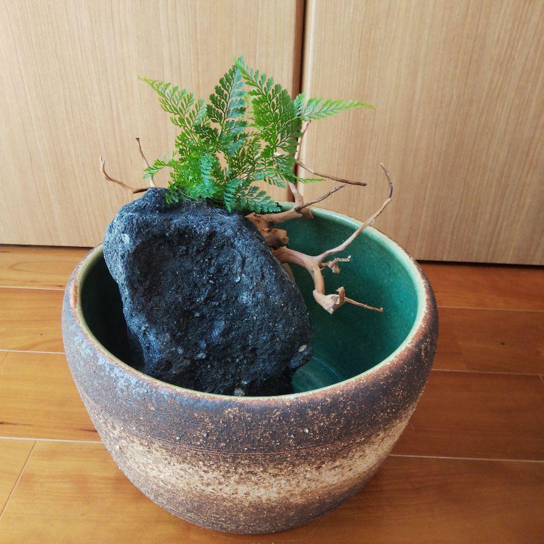 メダカ鉢　金魚鉢