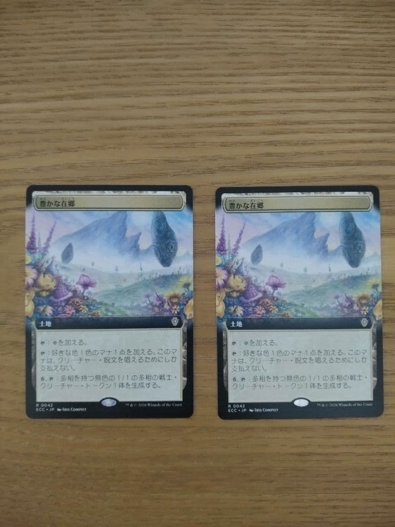 豊かな在郷　ボーダレス　2枚