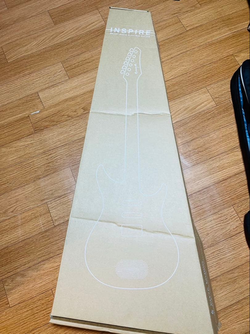 スマートギター　エンヤ　インスパイア専用フットスイッチ付き