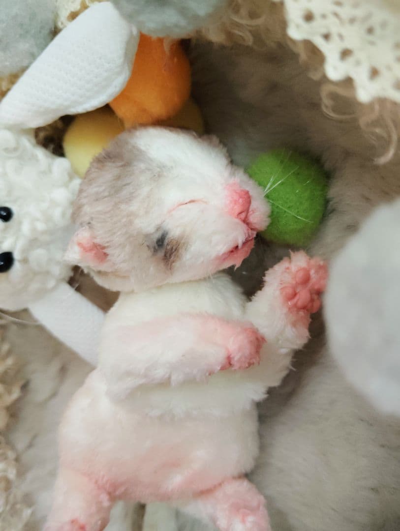 ママ募集❤生後１日子猫ちゃん♡バスケットとクマたん♡アートドール♡ぬいぐるみ♡