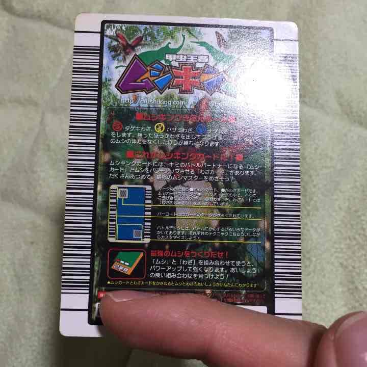 訳アリ確認用。タランドゥス