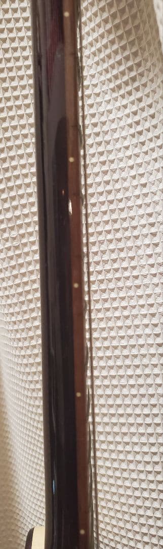 Danelectro エレキギター