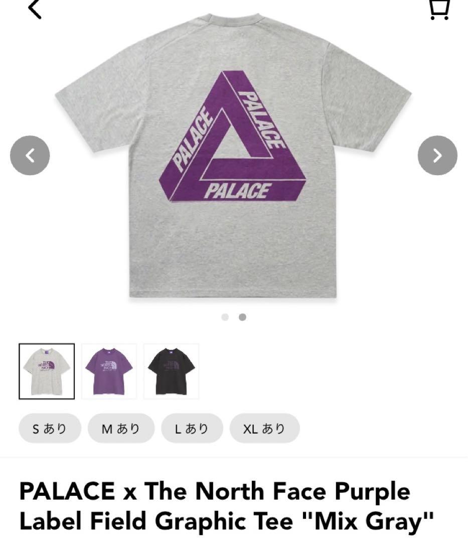 S palace north face tee Tシャツ　25awノースフェイス