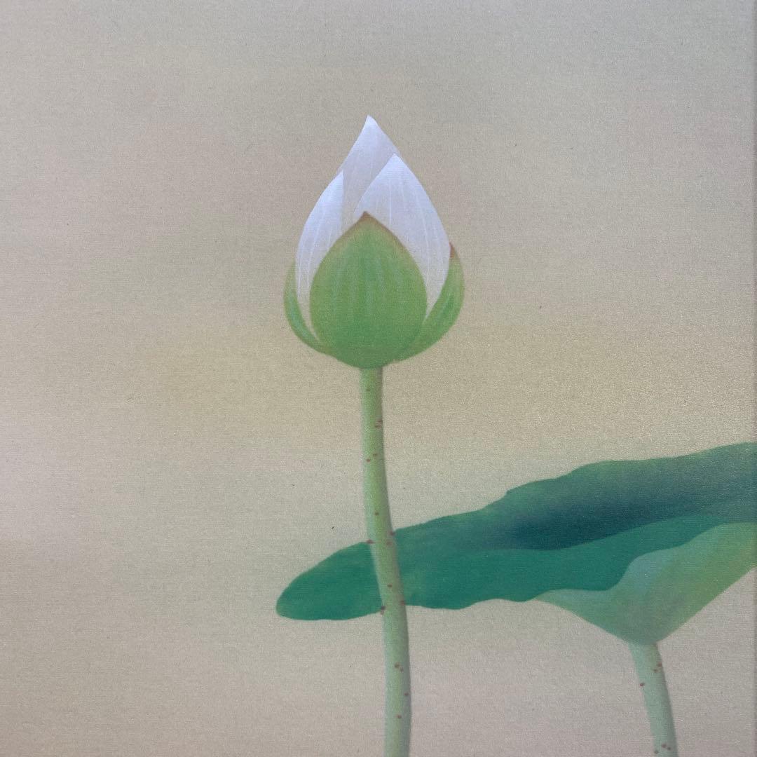 美品 掛け軸 藤田遥穂作 聖蓮華図 共箱 太巻き付 二重箱