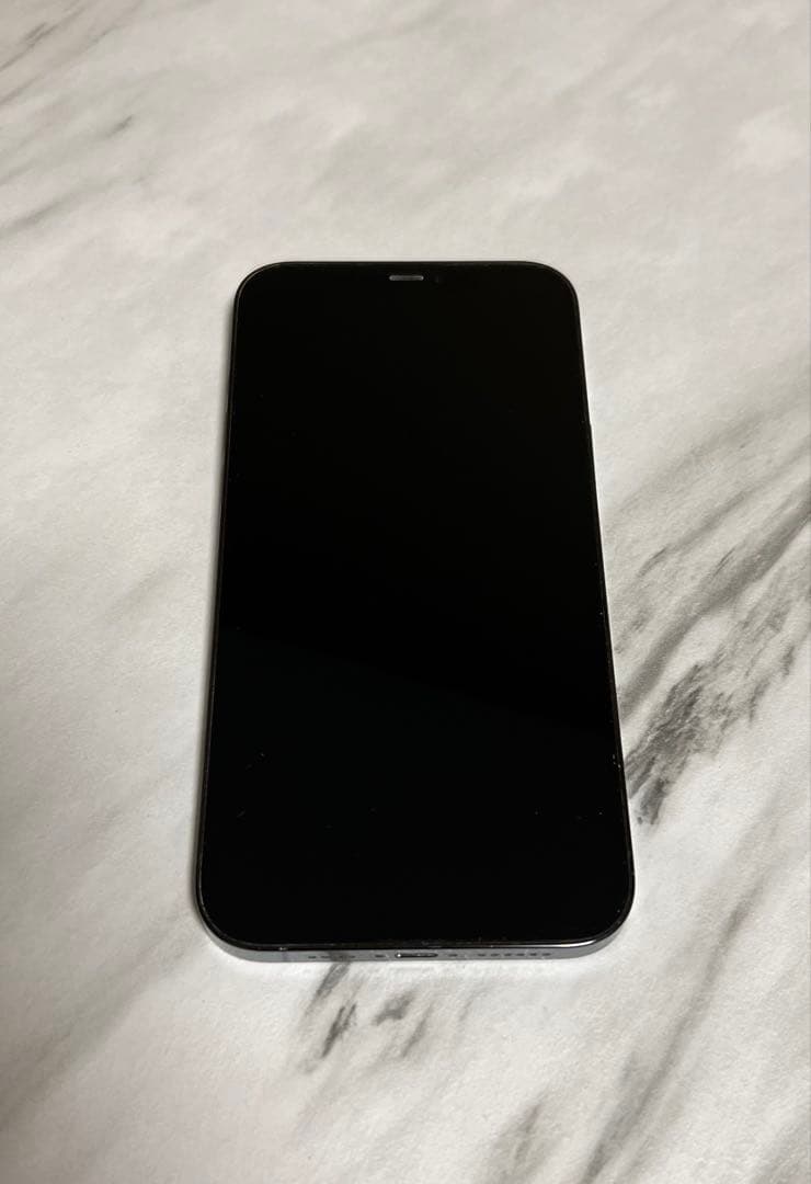 Apple iPhone 12 Pro Max 本体