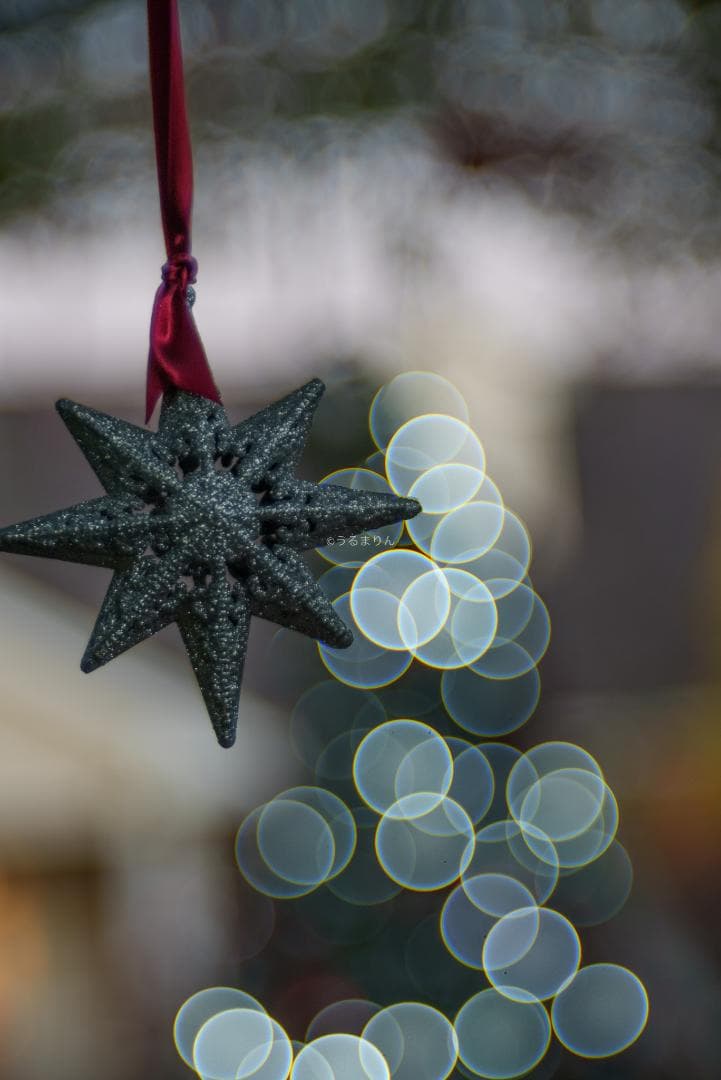 棚卸SALE！Trioplan 100mm F2.8 Leica Mマウント