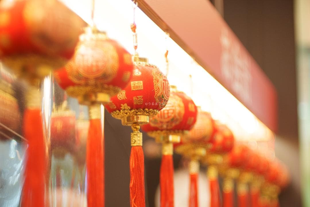 棚卸SALE！Trioplan 100mm F2.8 Leica Mマウント