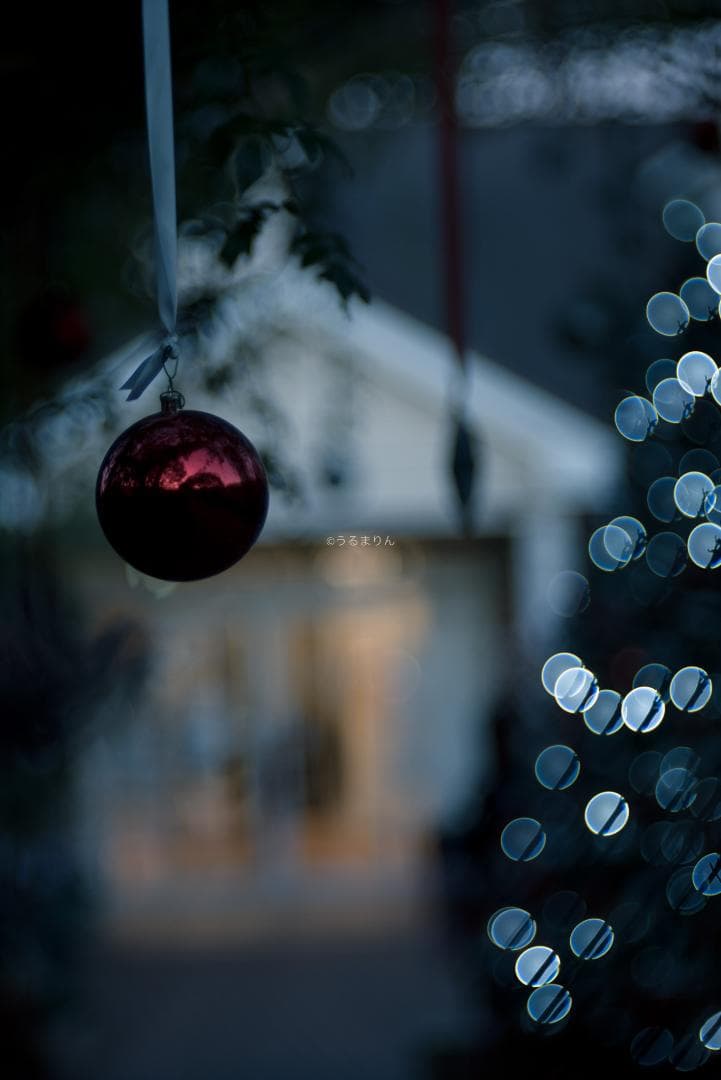 棚卸SALE！Trioplan 100mm F2.8 Leica Mマウント