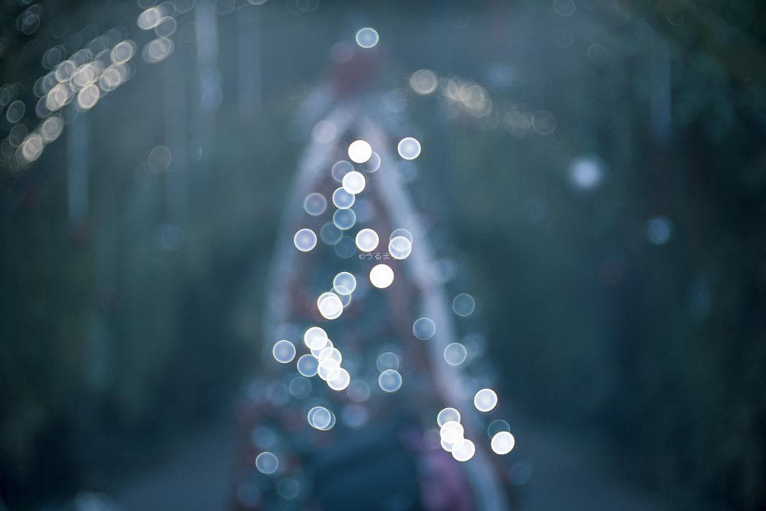 棚卸SALE！Trioplan 100mm F2.8 Leica Mマウント