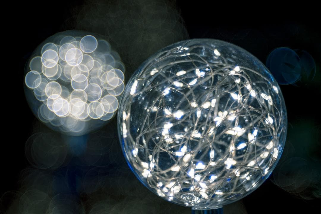 棚卸SALE！Trioplan 100mm F2.8 Leica Mマウント