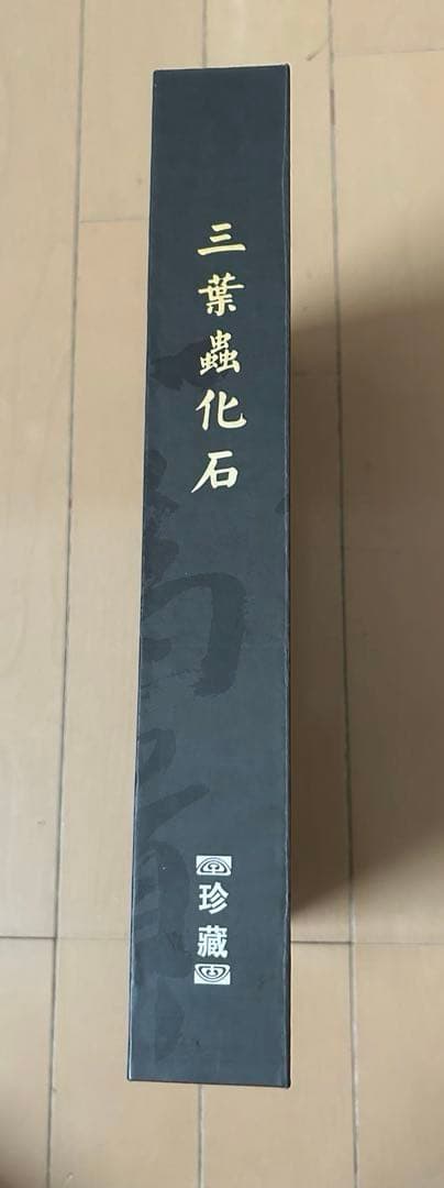 三葉虫化石　山東省