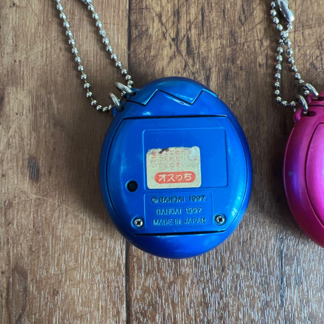 レア　非売品　メスっち　オスっち