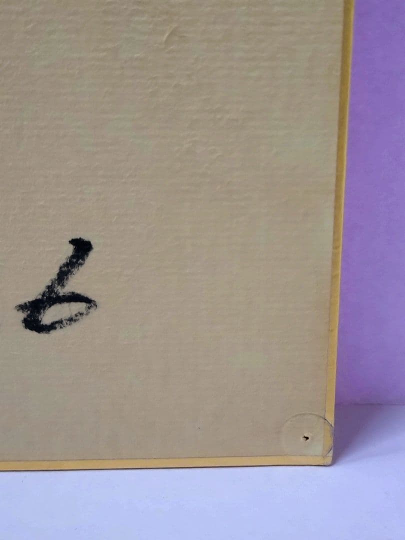 斉藤由貴 直筆サイン色紙 & 額装 ブロマイド