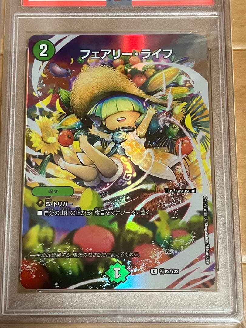 フェアリーライフ　神アート　春夏秋冬　フルアート　PSA10