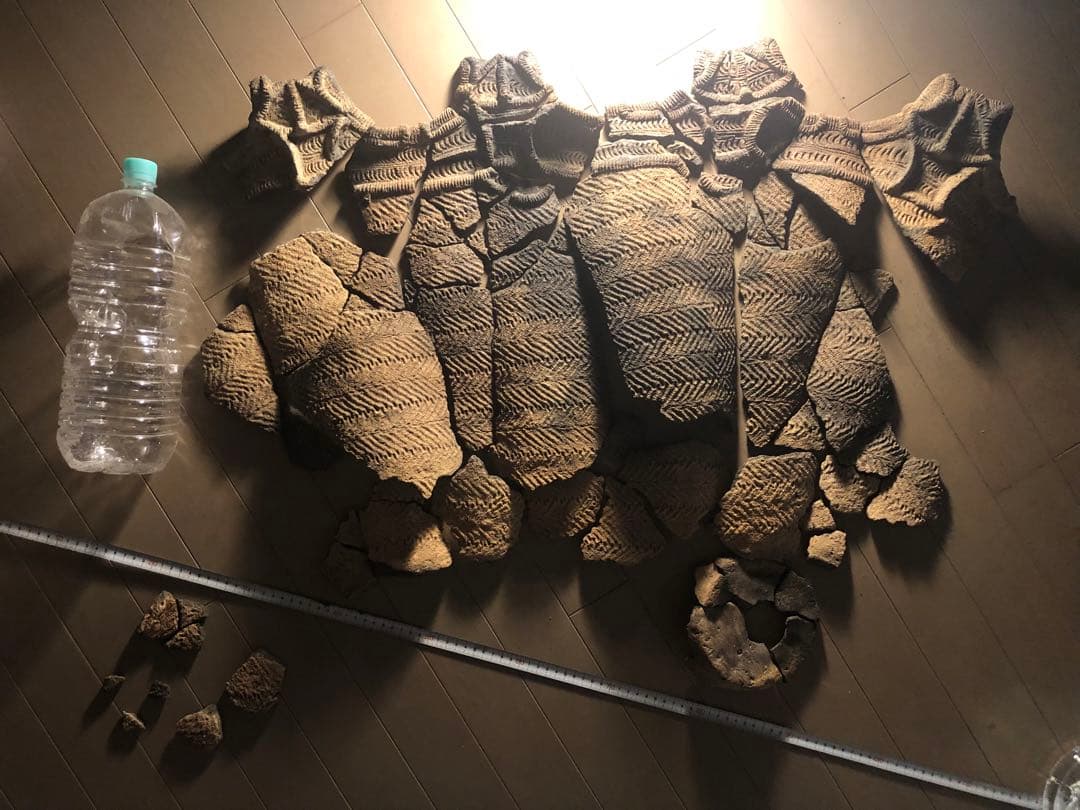 「縄文土器の欠片 No.507」です。