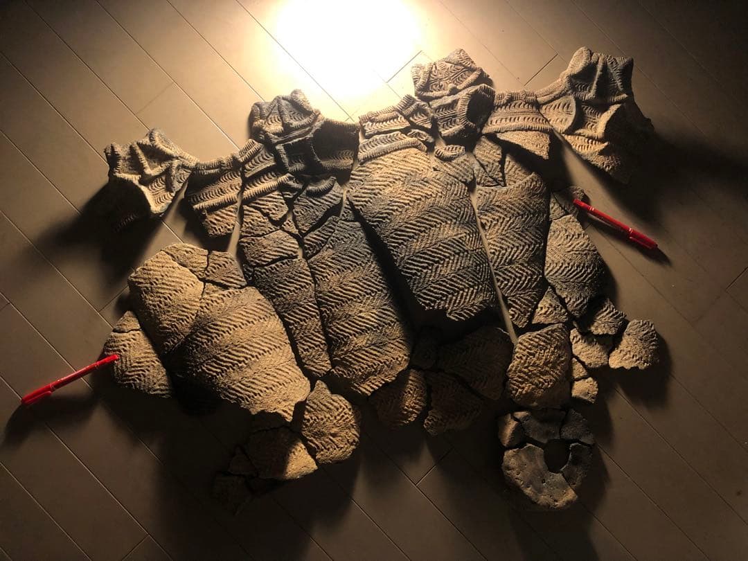 「縄文土器の欠片 No.507」です。