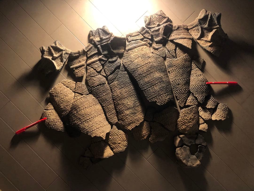 「縄文土器の欠片 No.507」です。