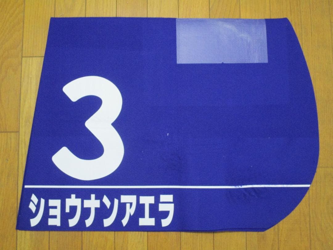 競馬 ワールドオールスタージョッキーズ 実使用ゼッケン 内田博幸騎手 + カード