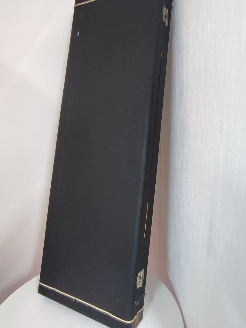 エレキギター　ストラトタイプ　ギターケース付き