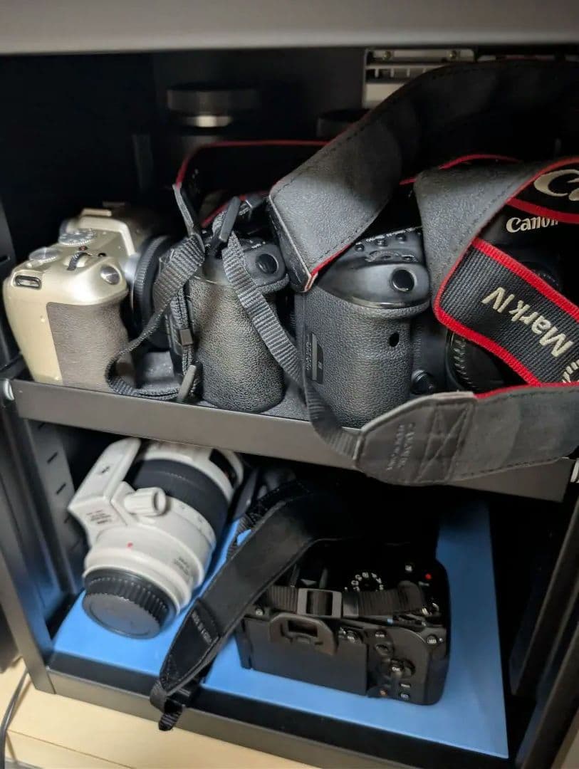 Canon EOS RP ミラーレス一眼 ゴールド