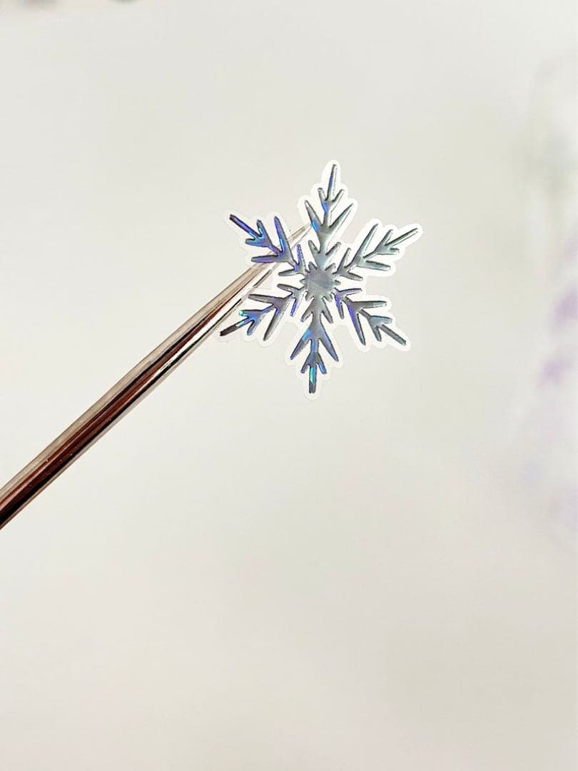 ggaggong 海外マスキングテープ　マステ 【2125】