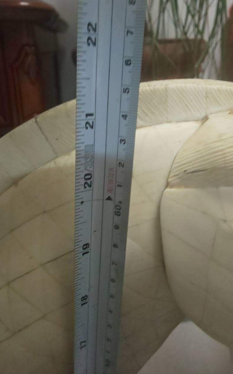 【稀少】 骨素材　アンティーク馬のオブジェ