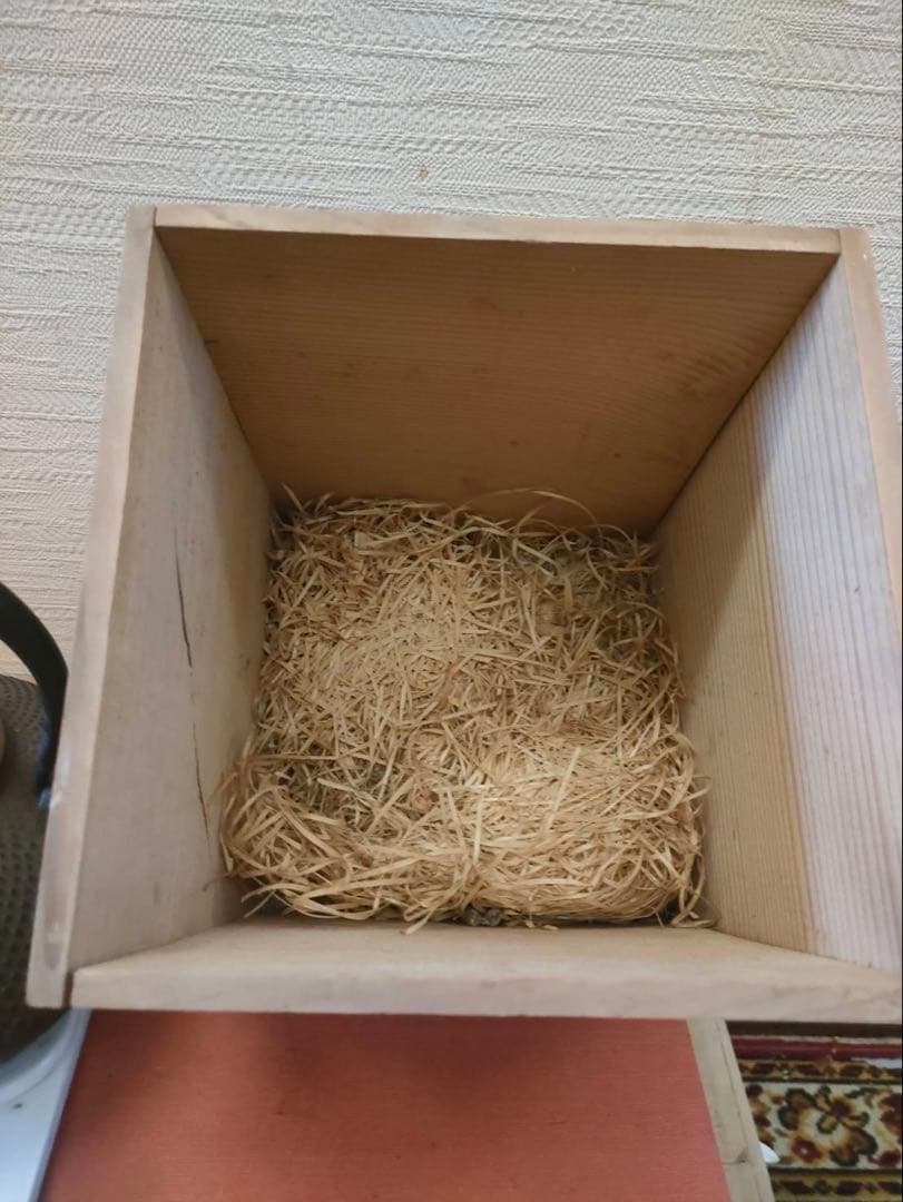 鉄瓶 未使用品 時代物 共木箱付