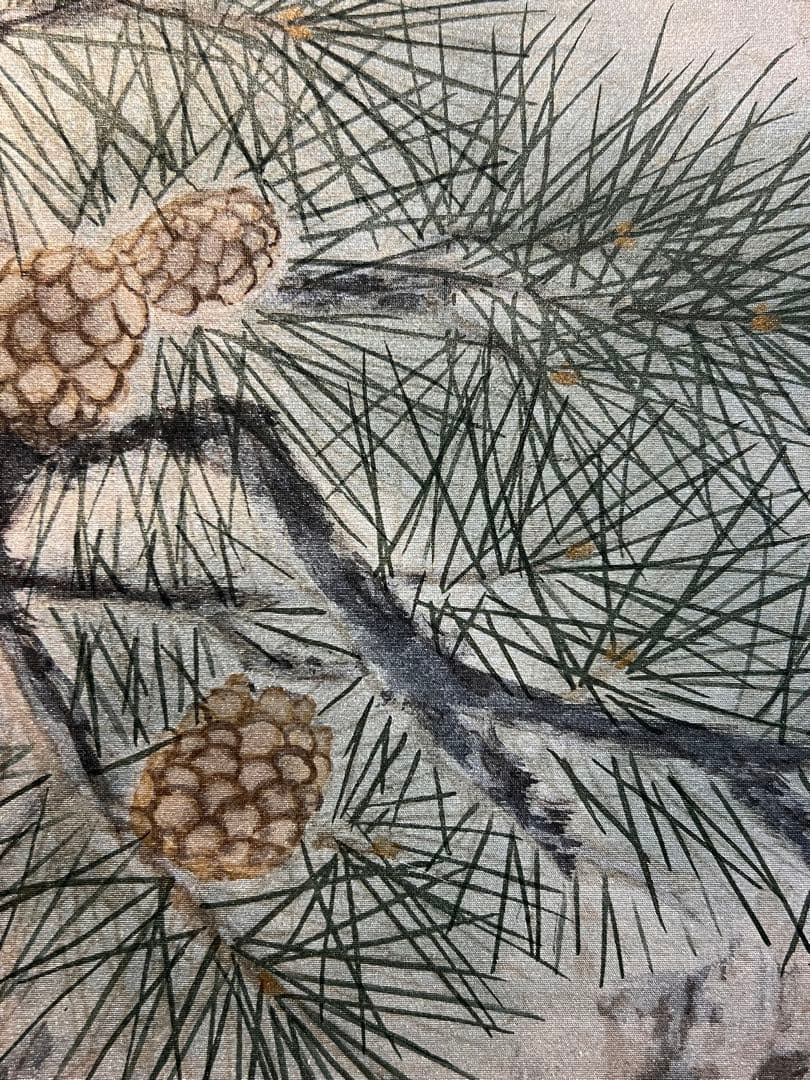 国井幸雪『老松鶴』 肉筆 共箱 縁起物 日本画 掛け軸 掛軸 柳甫 正月 直筆