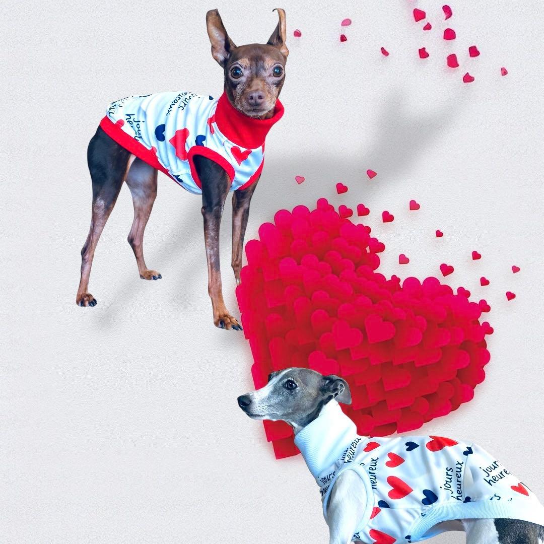 ⑰jours heureux original heart