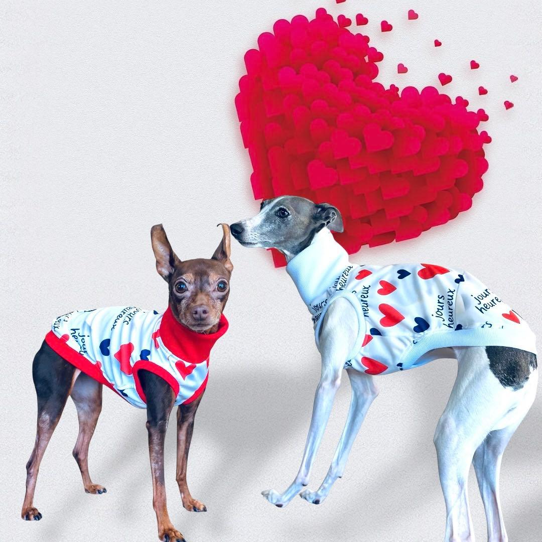 ⑰jours heureux original heart