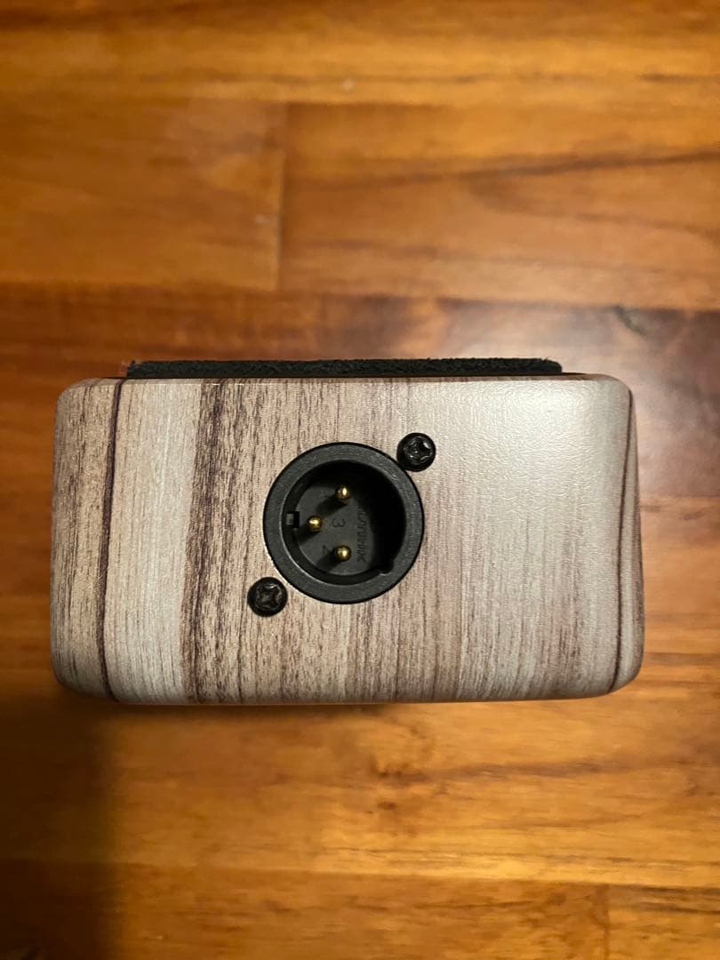 L.R. Baggs Align Series Active DI