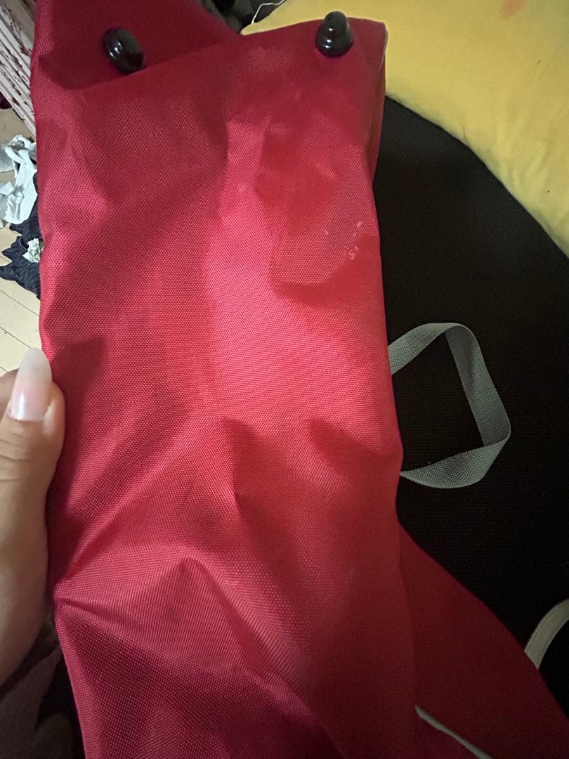 旧 ワッペ ワールドペガサス 赤