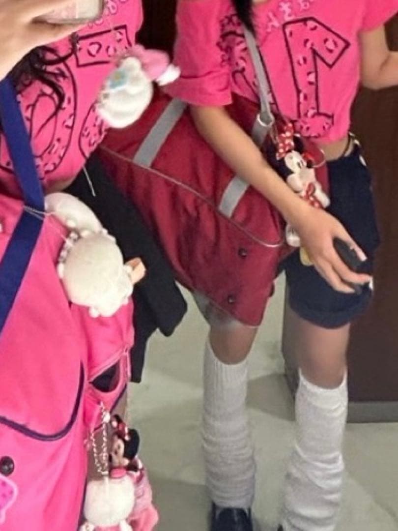 旧 ワッペ ワールドペガサス 赤