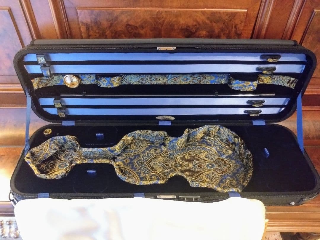 GEWA ゲヴァ　ヴァイオリンケース　美品　VENEZIA　4/4